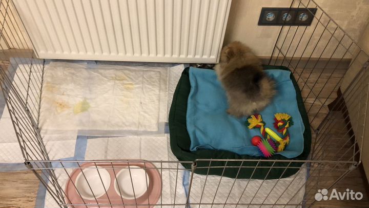 Вольер для собак