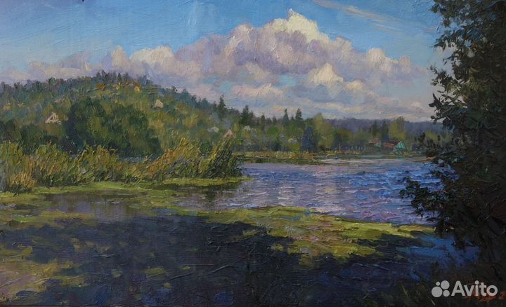 Пишу картины на заказ маслом. Художник