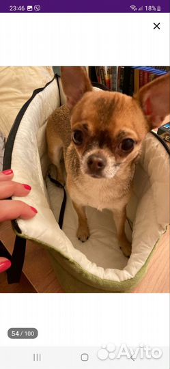 Сумка переноска для собаки Новая