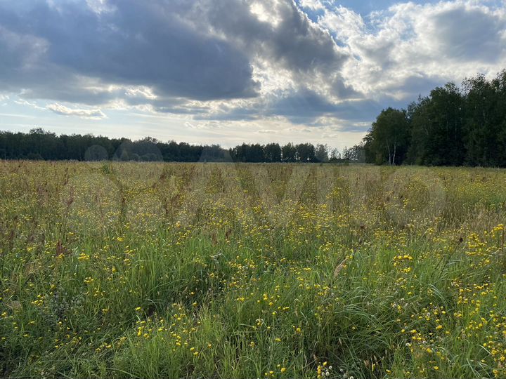 Участок 3 га (СНТ, ДНП)