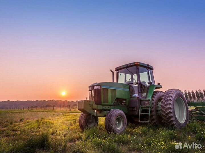 Чеснок оптом