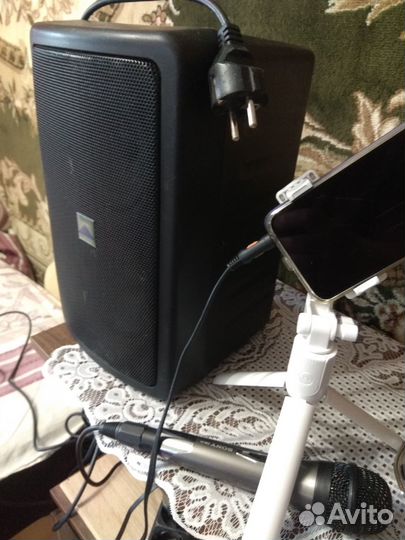 Концертная колонка, активный монитор Аlto pam5a