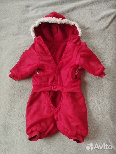 Комбинезон для собак мелких пород(Джек Рассел)