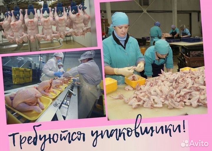 Упаковщики на линию(смена 9 часов)