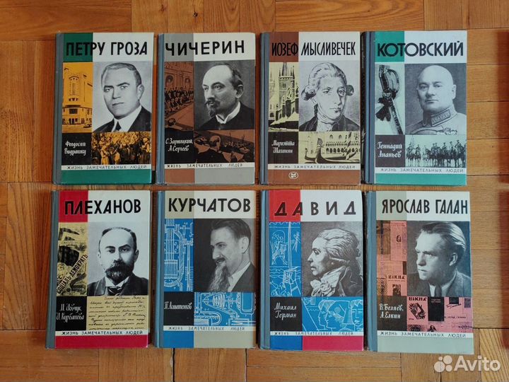 Серия жзл. Издательсво Молодая гвардия