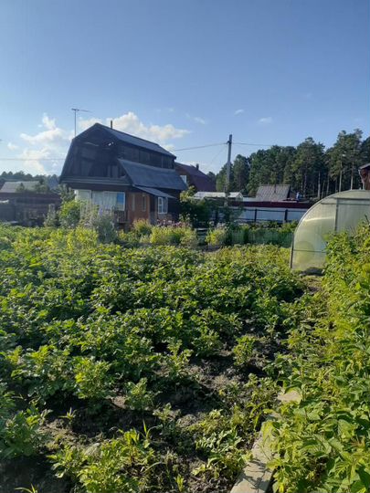 Дача 25 м² на участке 6 сот.