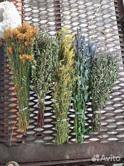 Травы для бани в пучках