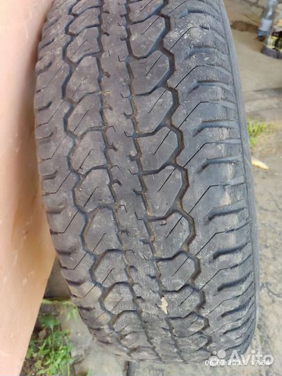 Колёса в сборе