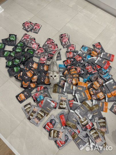 Влажный корм премиум класса Fluffy Love