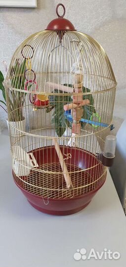 Клетка для птиц