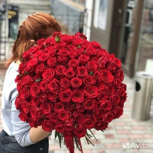 Роза Красная 101шт С Доставкой