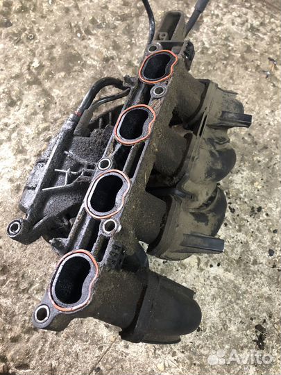 Впускной коллектор Ford Focus 2
