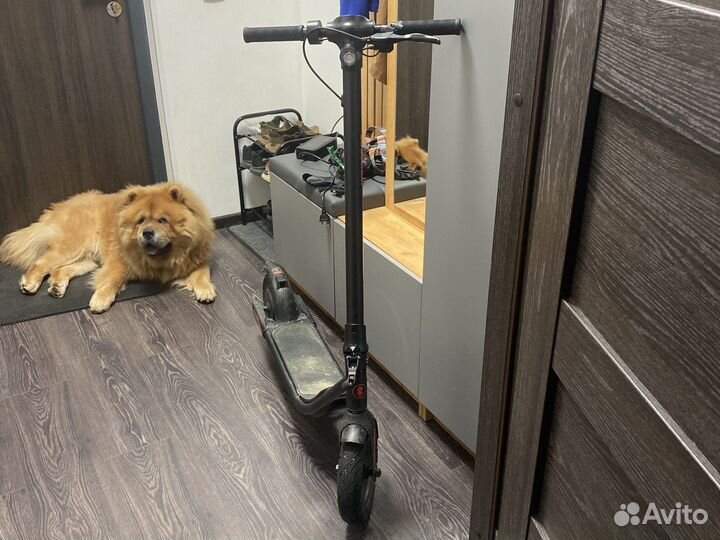 Электросамокат hoverbot UN-1