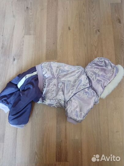 Одежда для средних собак