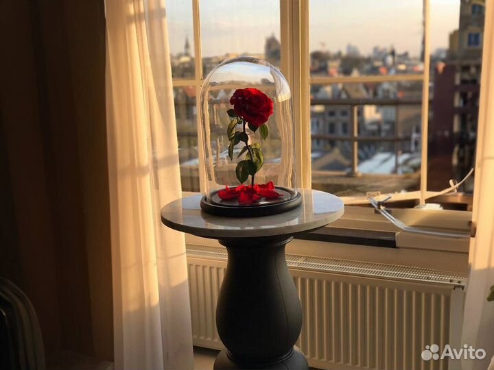 Роза в колбе Deluxe Красная