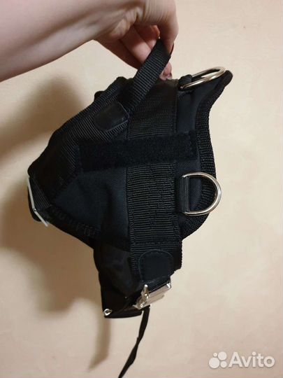 Профессиональная амуниция для собак