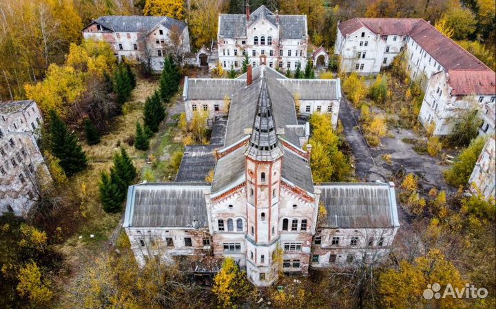 Экскурсии в Калининграде и области. Ваш личный гид