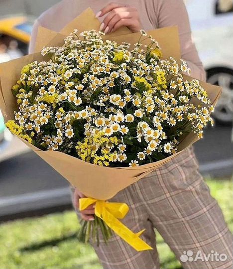 Букеты ромашек