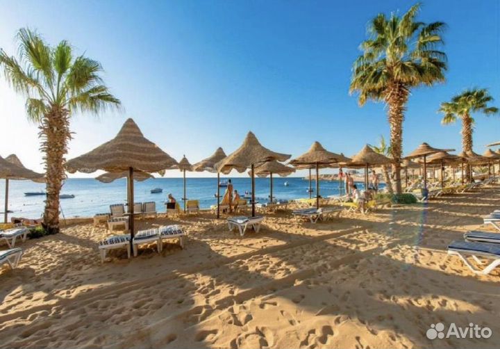 Тур в Египет