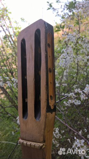 Акустическая гитара