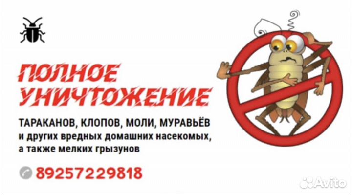 Дезинсекция всех видов насекомых и грызунов