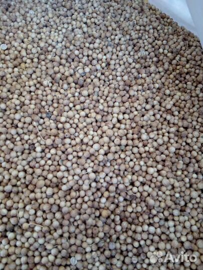 Семена кориандра (кинза)