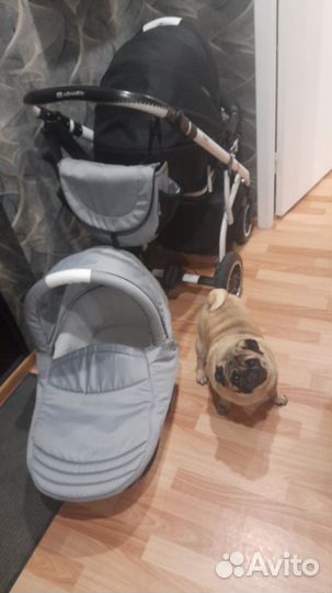 Коляска 2 в 1 adamex