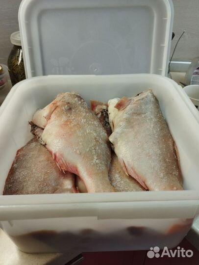 Кубоконтейнер бу