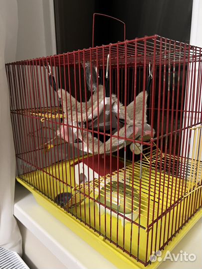 Клетка для грызунов