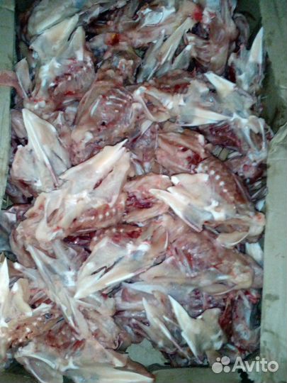 Каркасы куриные