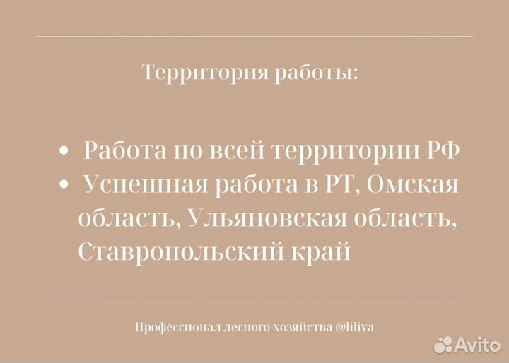 Проект освоения лесов, лесная декларация