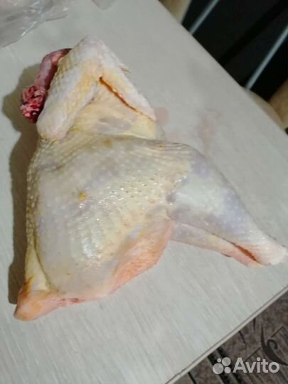 Мясо курицы домашней доставка