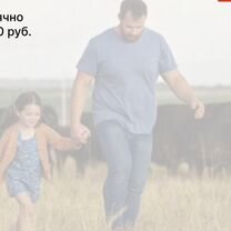 Сельскохозяйственное агентство в городе Чебоксары, Чебоксары
