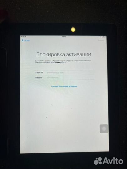 iPad