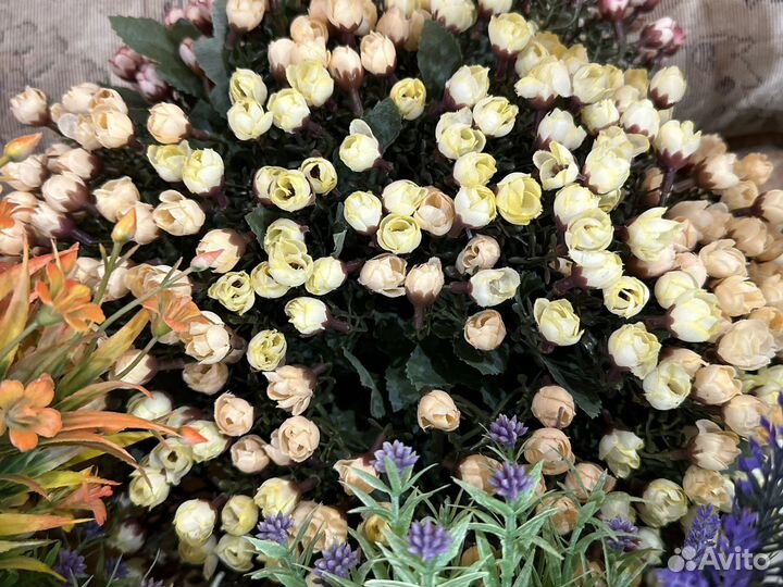 Очень красивые букеты, Бельгия