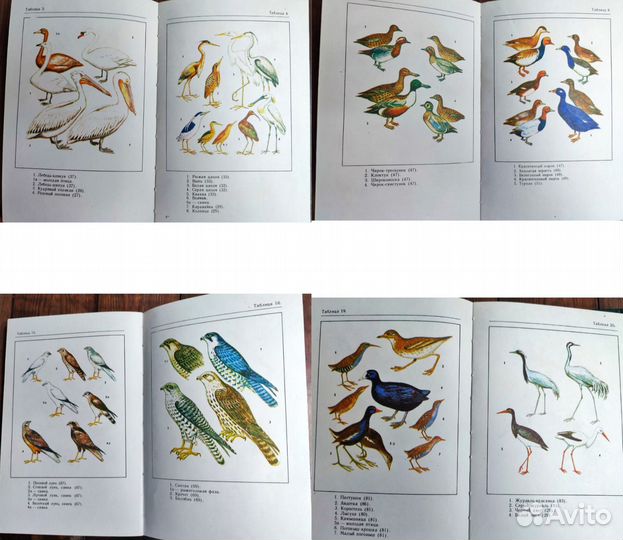 Советские книги птицы