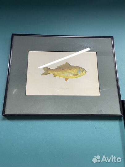 Старинная литография