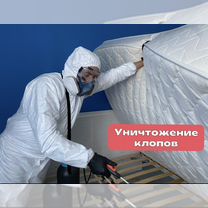 Дезинсекция, обработка таракан клопы запах плесень