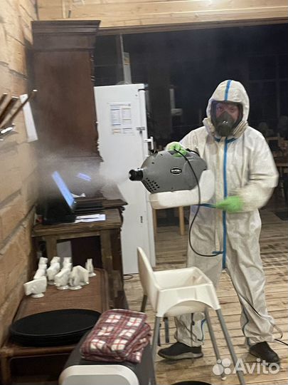 Уничтожение клопов, тараканов, мышей