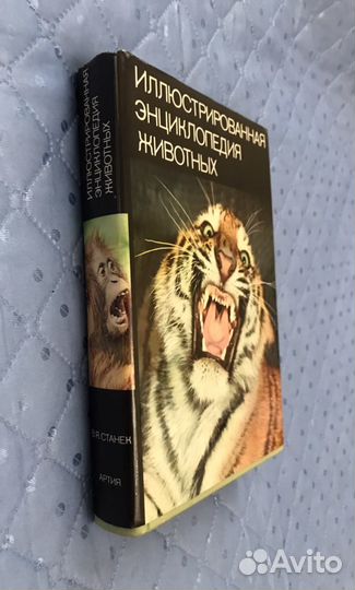 Энциклопедия В Станек