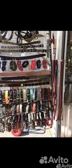 Ошейники и поводки для собак оптом и в розницу