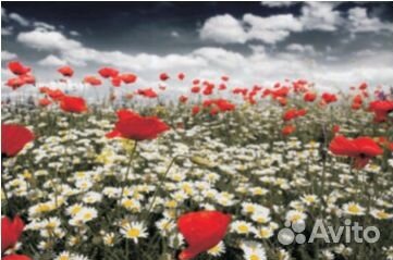 Картины в ассортименте