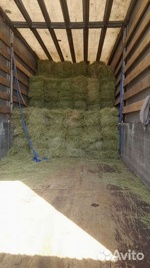 Сено луговое в тюках