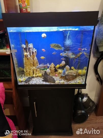 Аквариум с тумбой 100л