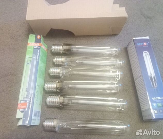 Лампы днат 600w для растений