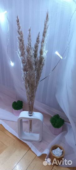 Кашпо из гипса со стабилизированным мхом