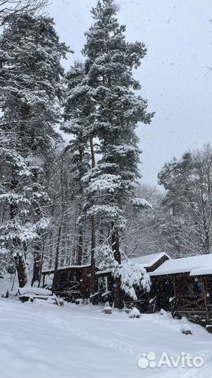 Отдых в Теберде (размещение) аренда дома суточно