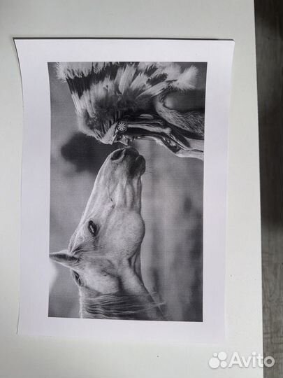 Принтер pantum p2500w