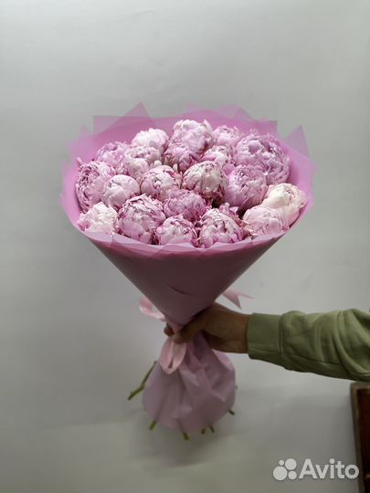 Пионы крупные