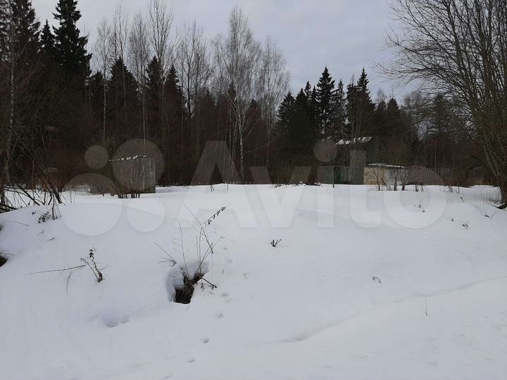 Участок 10,8 сот. (СНТ, ДНП)